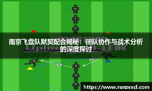 南京飞盘队默契配合揭秘：团队协作与战术分析的深度探讨